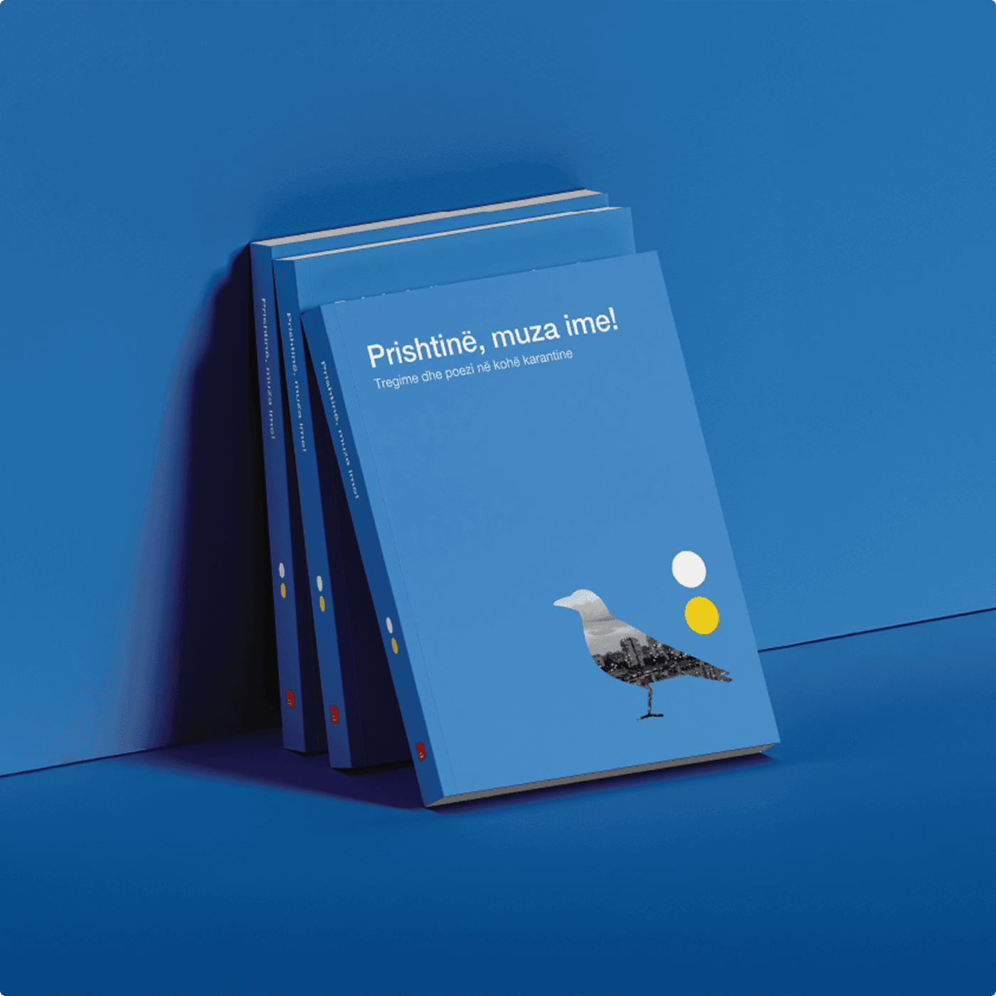 Stack of 'Prishtinë, muza ime!' anthologies against a deep blue wall — the cover features an illustrated seagull whose silhouette contains the Prishtina skyline.